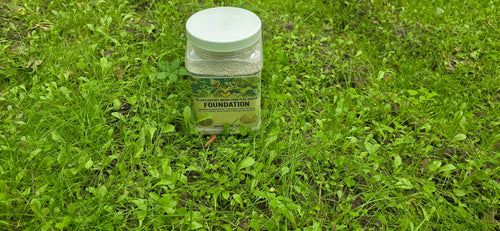 AntlerCore Foundation