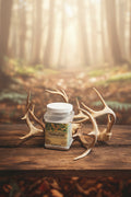AntlerCore Foundation